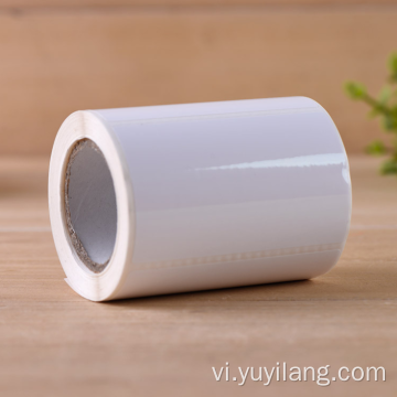 In cuộn nhãn dán vinyl PVC trong suốt